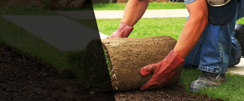 Rhinelander Landscapers